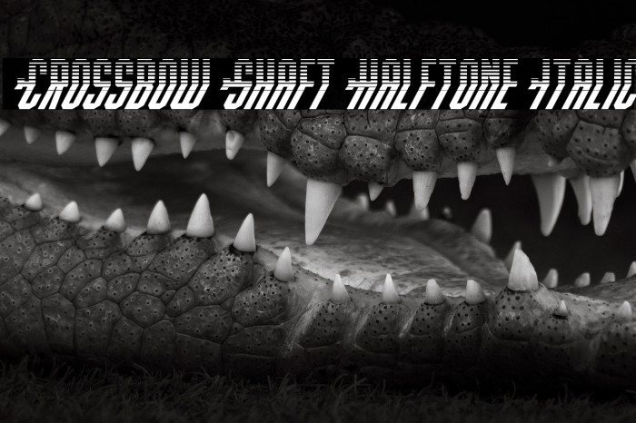 Crossbow Shaft Halftone Italic Example 2