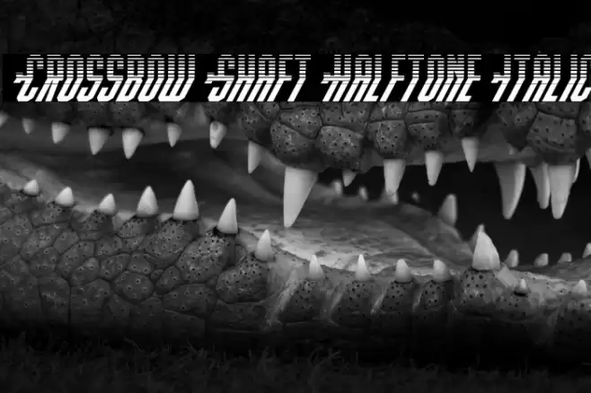 Crossbow Shaft Halftone Italic Font examples