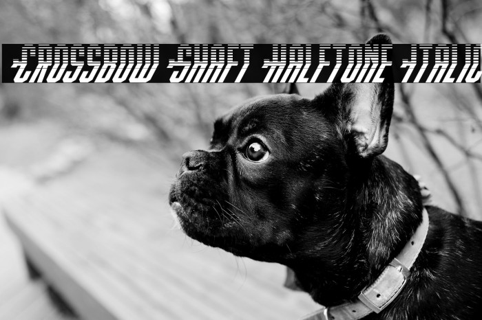 Crossbow Shaft Halftone Italic Example 3