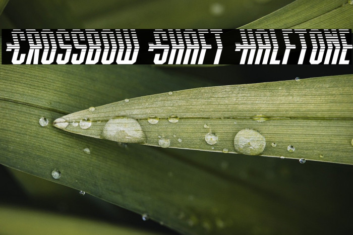 Crossbow Shaft Halftone Example 2