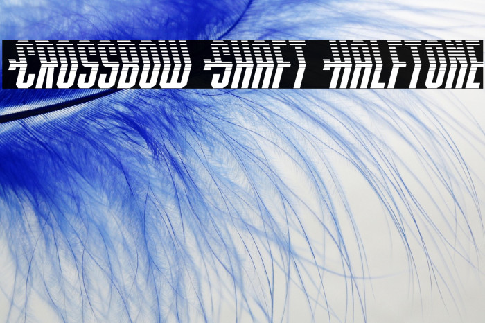 Crossbow Shaft Halftone Example 3