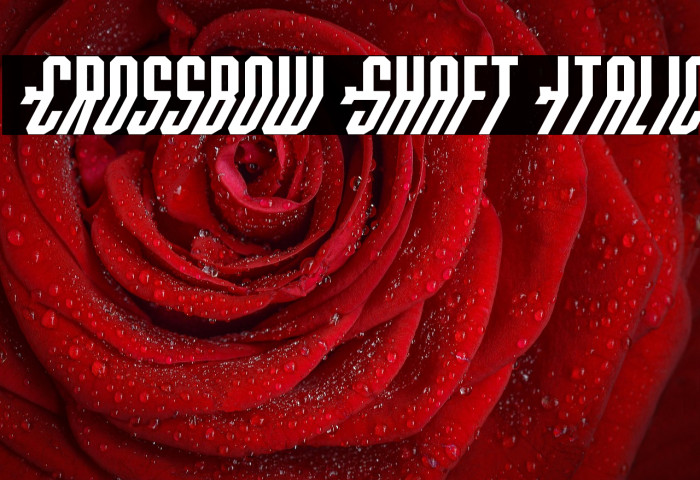 Crossbow Shaft Italic Example 1