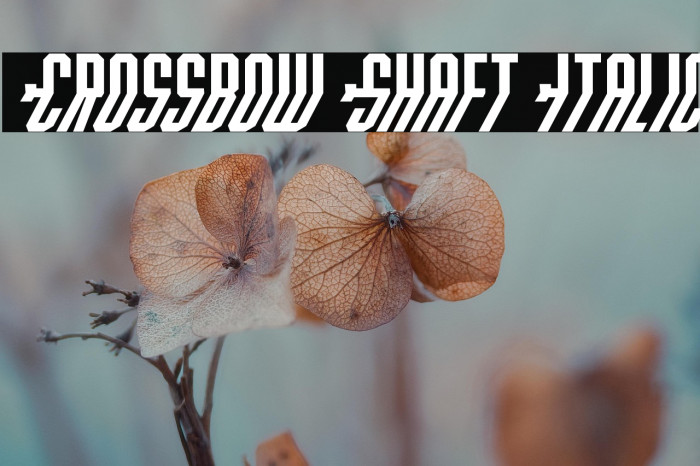 Crossbow Shaft Italic Example 3