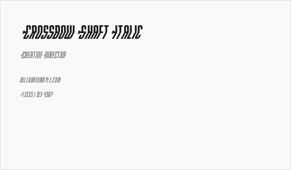 Crossbow Shaft Italic Business Card
