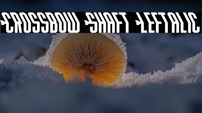 Crossbow Shaft Leftalic Example 1