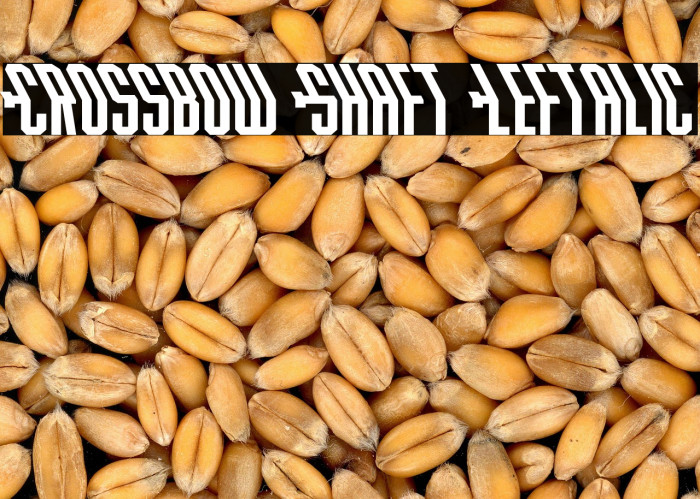 Crossbow Shaft Leftalic Example 2