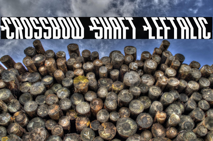 Crossbow Shaft Leftalic Example 3