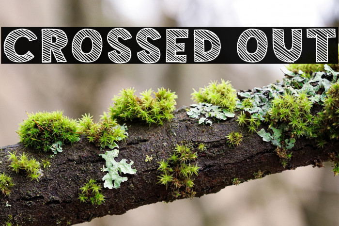 Crossed Out Example 2