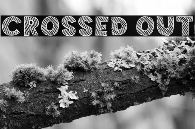 Crossed Out خط examples