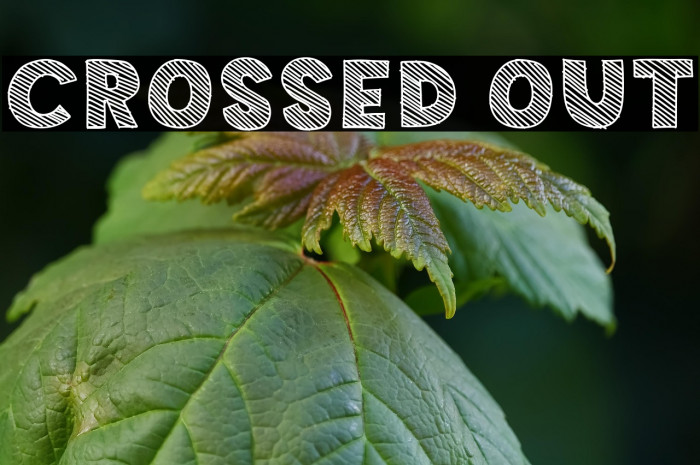 Crossed Out Example 3