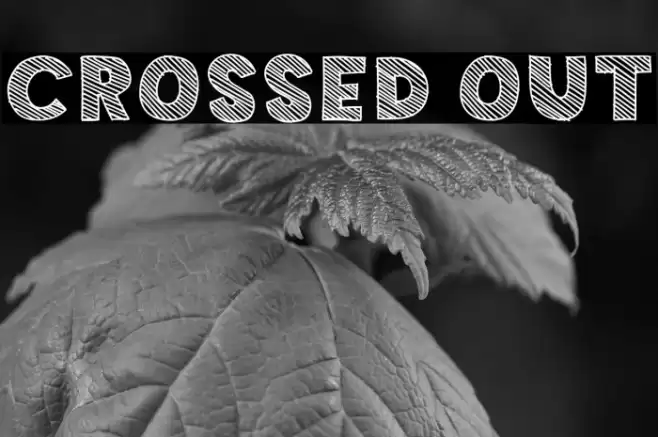 Crossed Out خط examples