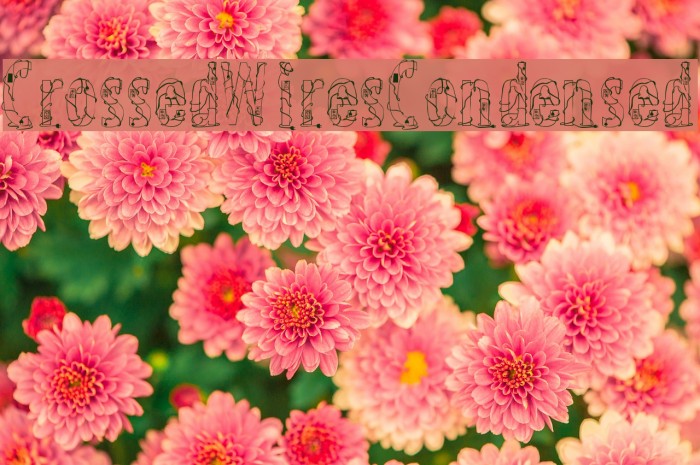 CrossedWires-Condensed Font examples