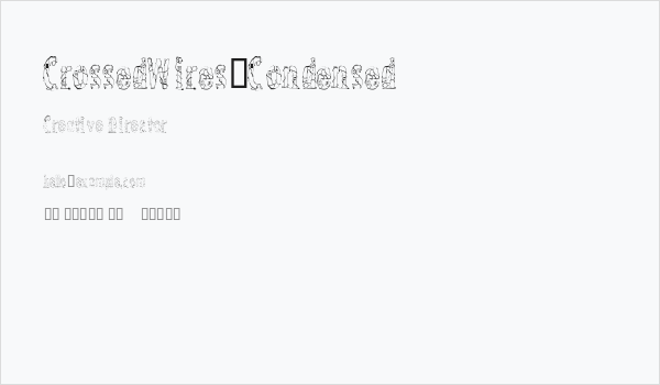 CrossedWires-Condensed Business Card
