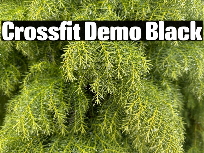 Crossfit Demo Black Example 2