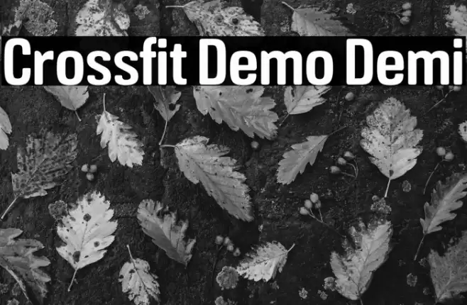 Crossfit Demo Demi Font examples