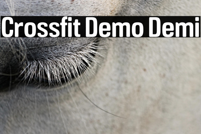 Crossfit Demo Demi Example 3