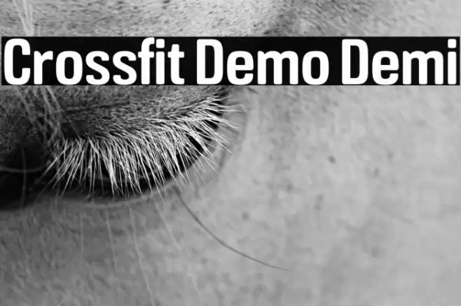 Crossfit Demo Demi Font examples