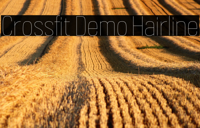 Crossfit Demo Hairline Example 2