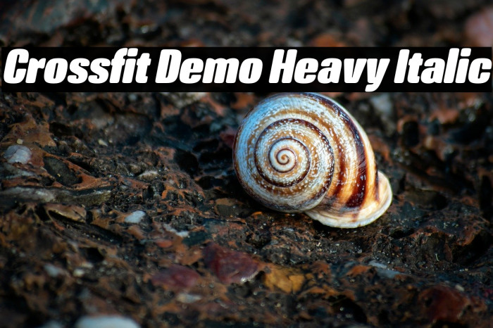 Crossfit Demo Heavy Italic Example 2