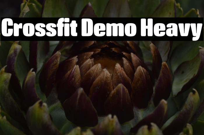 Crossfit Demo Heavy Example 1