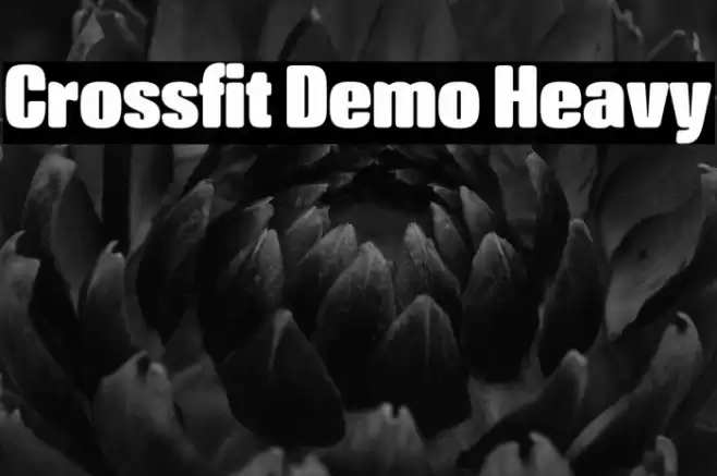 Crossfit Demo Heavy Font examples