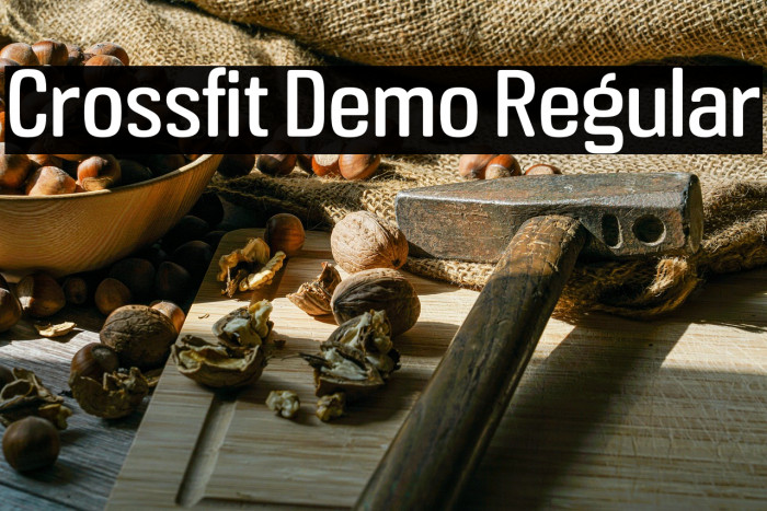 Crossfit Demo Regular Example 1