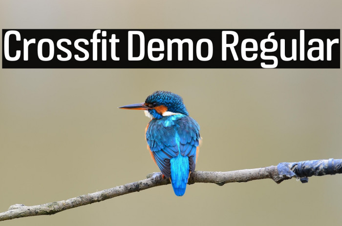 Crossfit Demo Regular Example 3