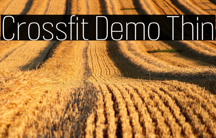 Crossfit Demo Thin Example 1