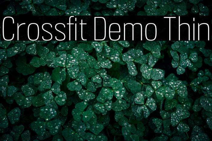 Crossfit Demo Thin Example 2