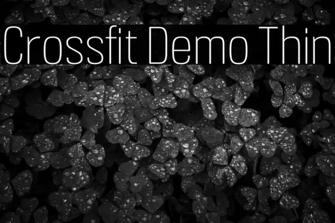 Crossfit Demo Thin Font examples