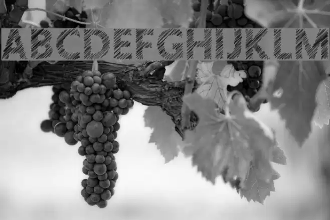 Crosshatcher Font examples