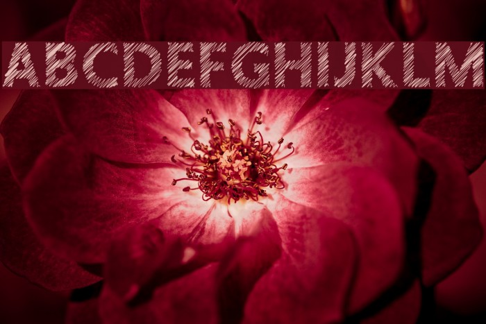 Crosshatcher Example 2