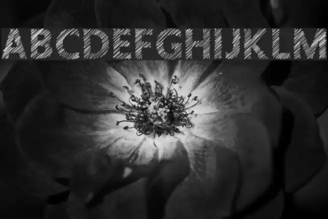 Crosshatcher Font examples