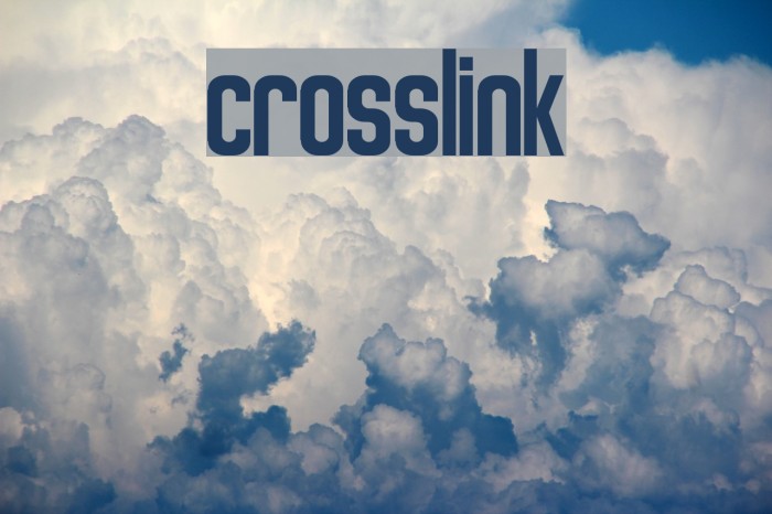 Crosslink Example 3