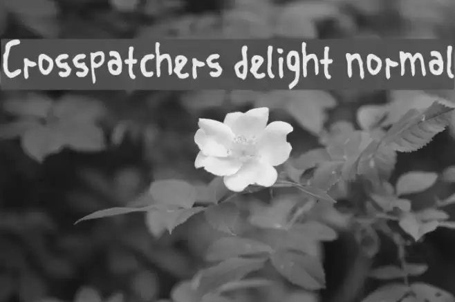 Crosspatchers delight normal Font examples