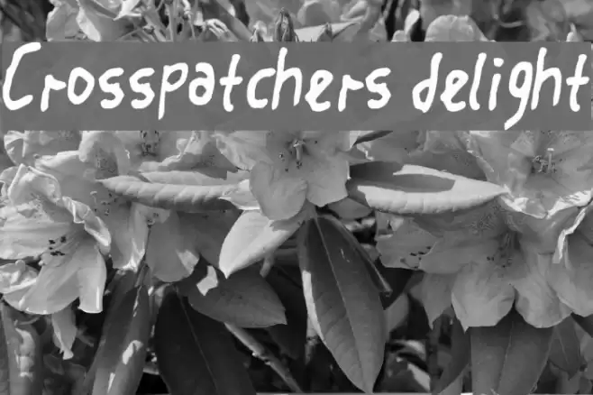 Crosspatchers delight Schriftart examples