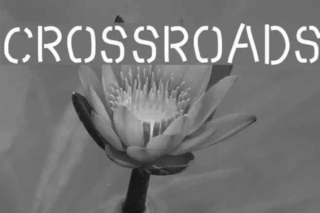 Crossroads Font examples
