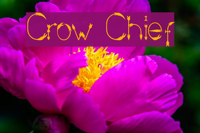 Crow Chief Font examples