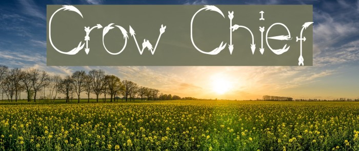 Crow Chief Font examples