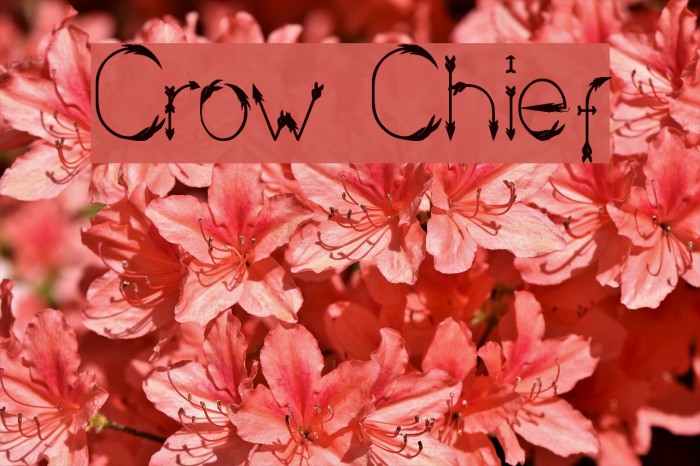 Crow Chief Font examples