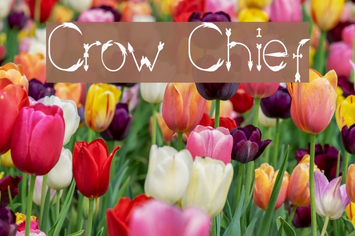 Crow Chief Font examples