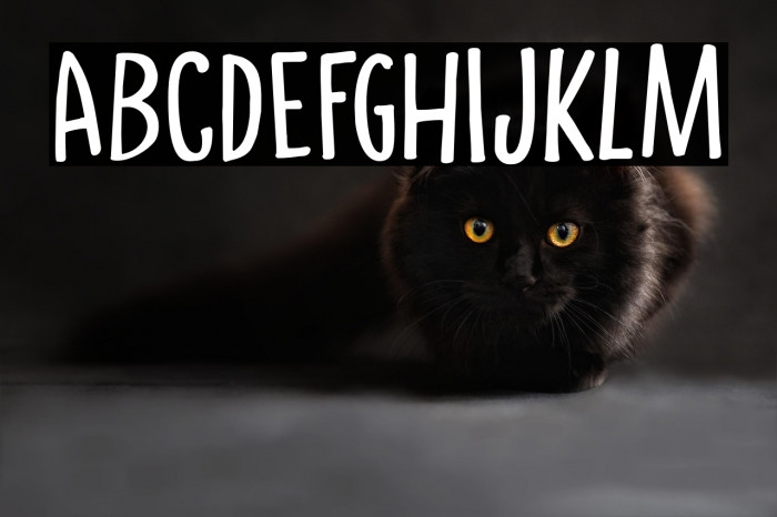 CrowdPleaserDEMO-Regular Example 2