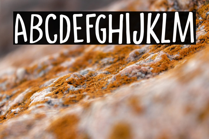 CrowdPleaserDEMO-Regular Example 3