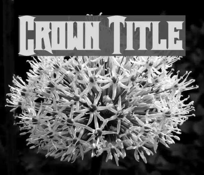 Crown Title Font examples