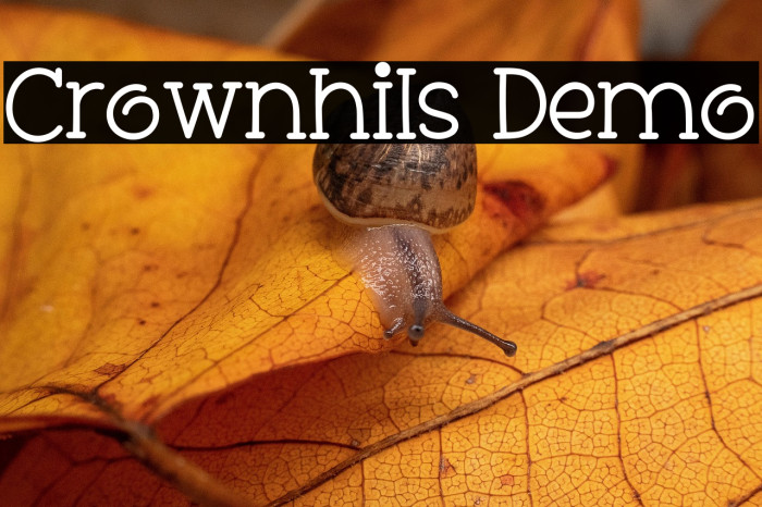 Crownhils Demo Example 2