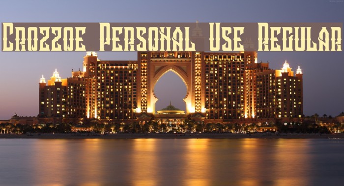 Crozzoe Personal Use Regular Example 2