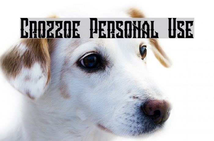 Crozzoe Personal Use Font examples