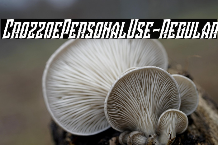 CrozzoePersonalUse-Regular Example 3