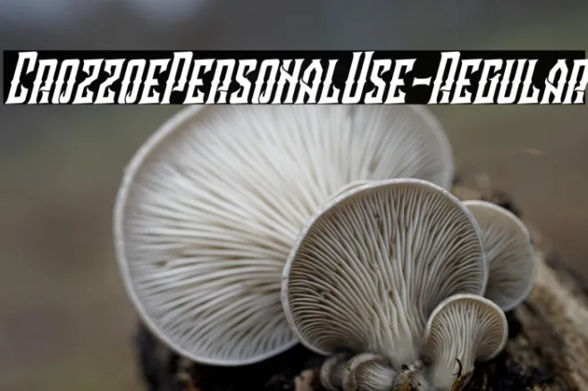 CrozzoePersonalUse-Regular Example 3