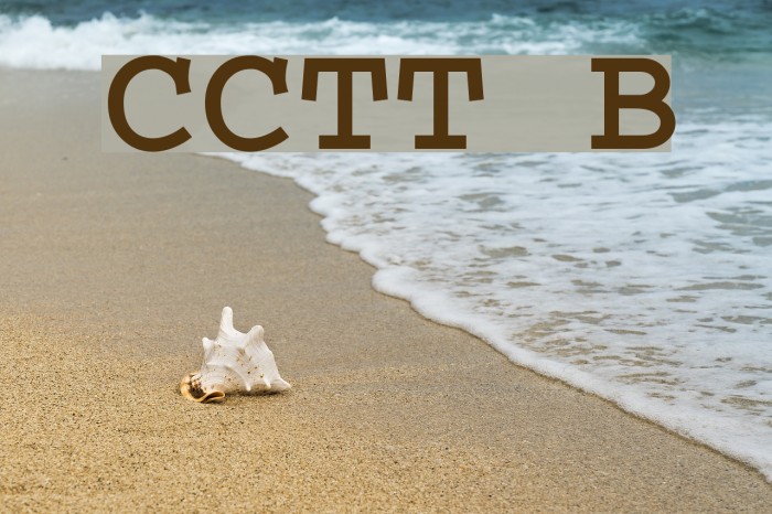 CrrCTT Bold Font examples